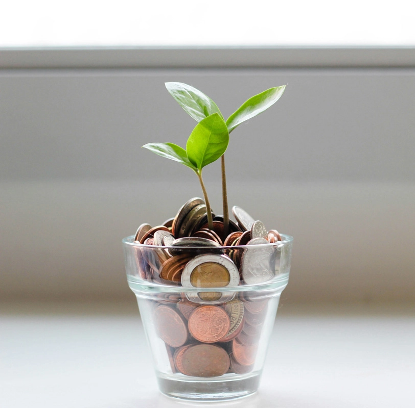 Plant growing from coins symbolizing financial growth